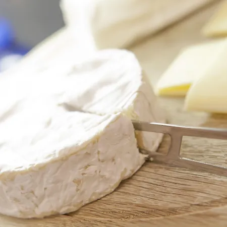 Logis Duquesne Nantes