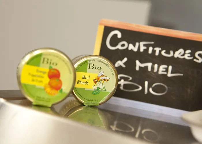 Logis Duquesne 2* נאנט