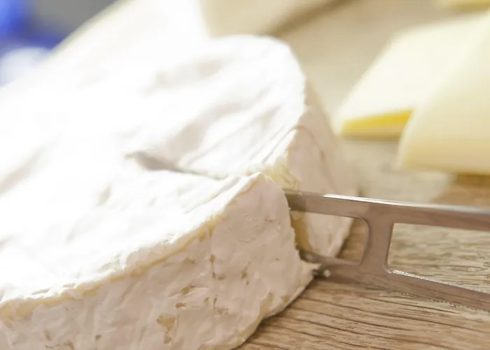 Logis Duquesne Nantes